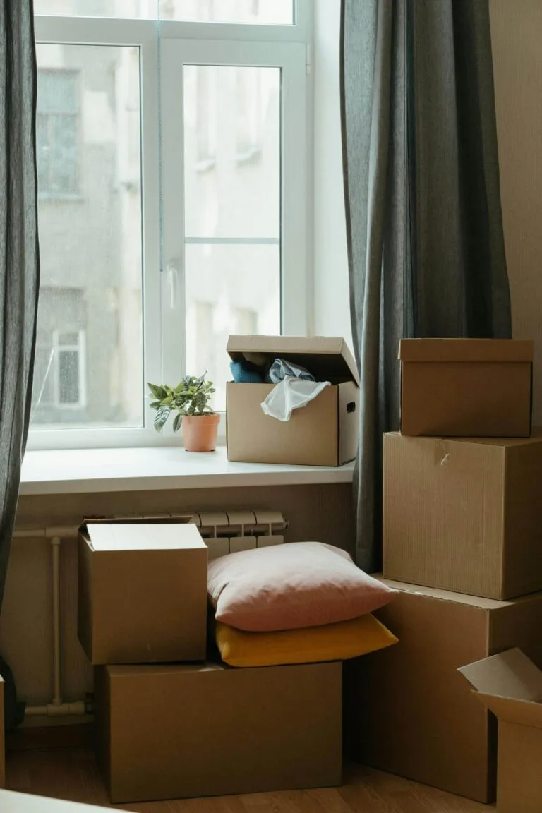 tucson movers 13