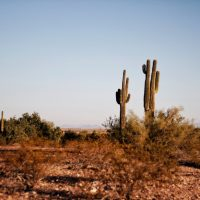 Preventing heat stroke when moving during a Tucson summer